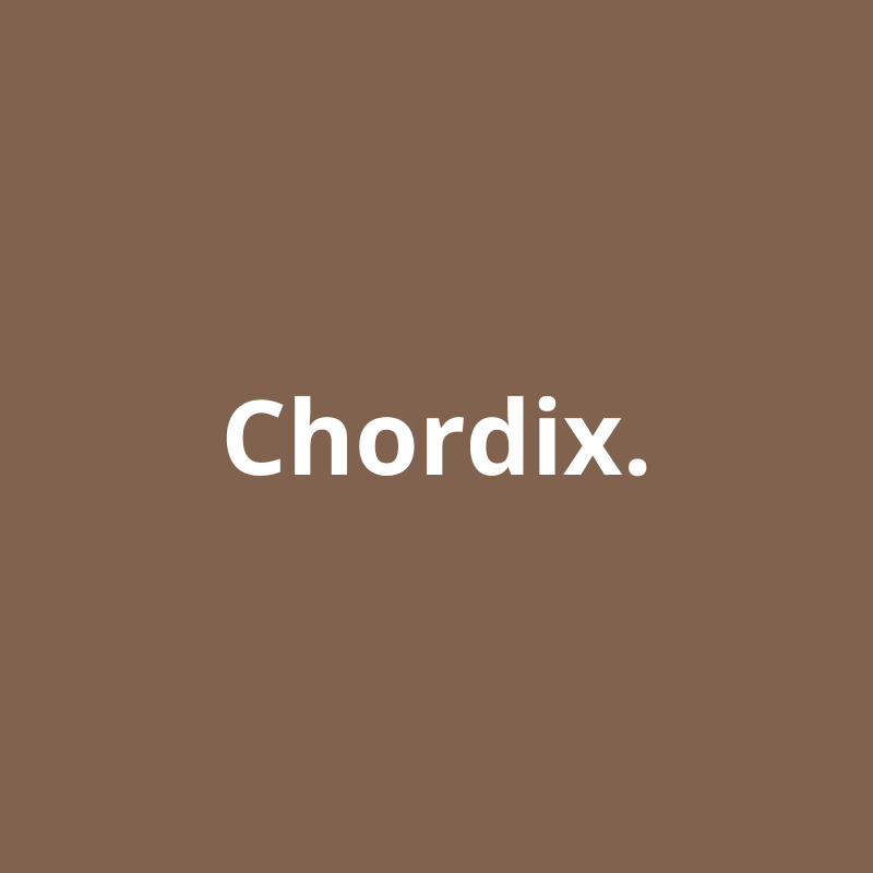 Anteprima progetto Chordix
